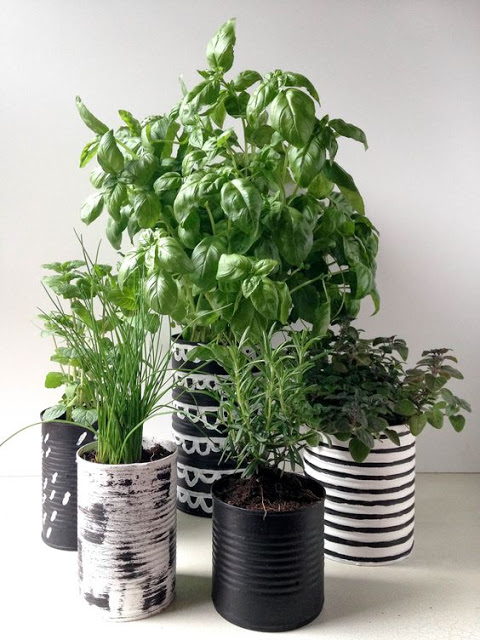 idée cadeaux de profs Fines herbes