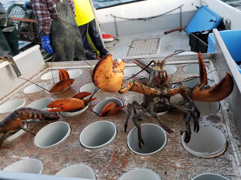 La gastronomie des Îles-de-la-Madeleine Cinq Fourchettes