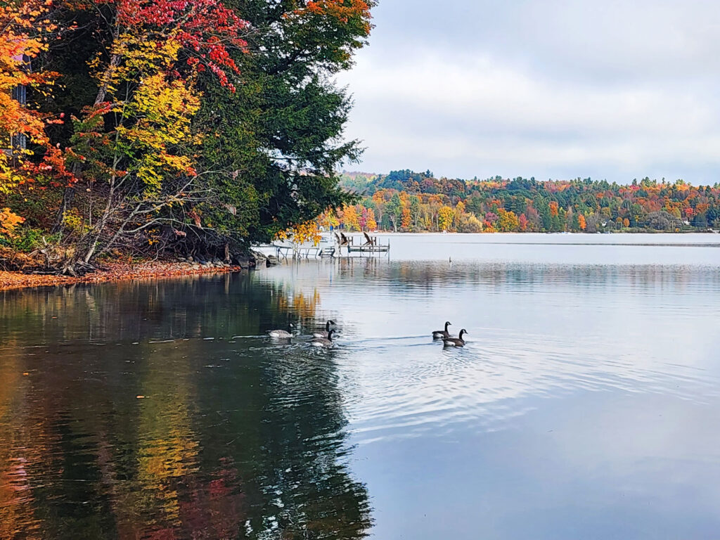 voyage cantons de l'est chevrolet travel Québec Cinq Fourchettes