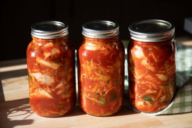 kimchi lactofermentation recette cinq fourchettes